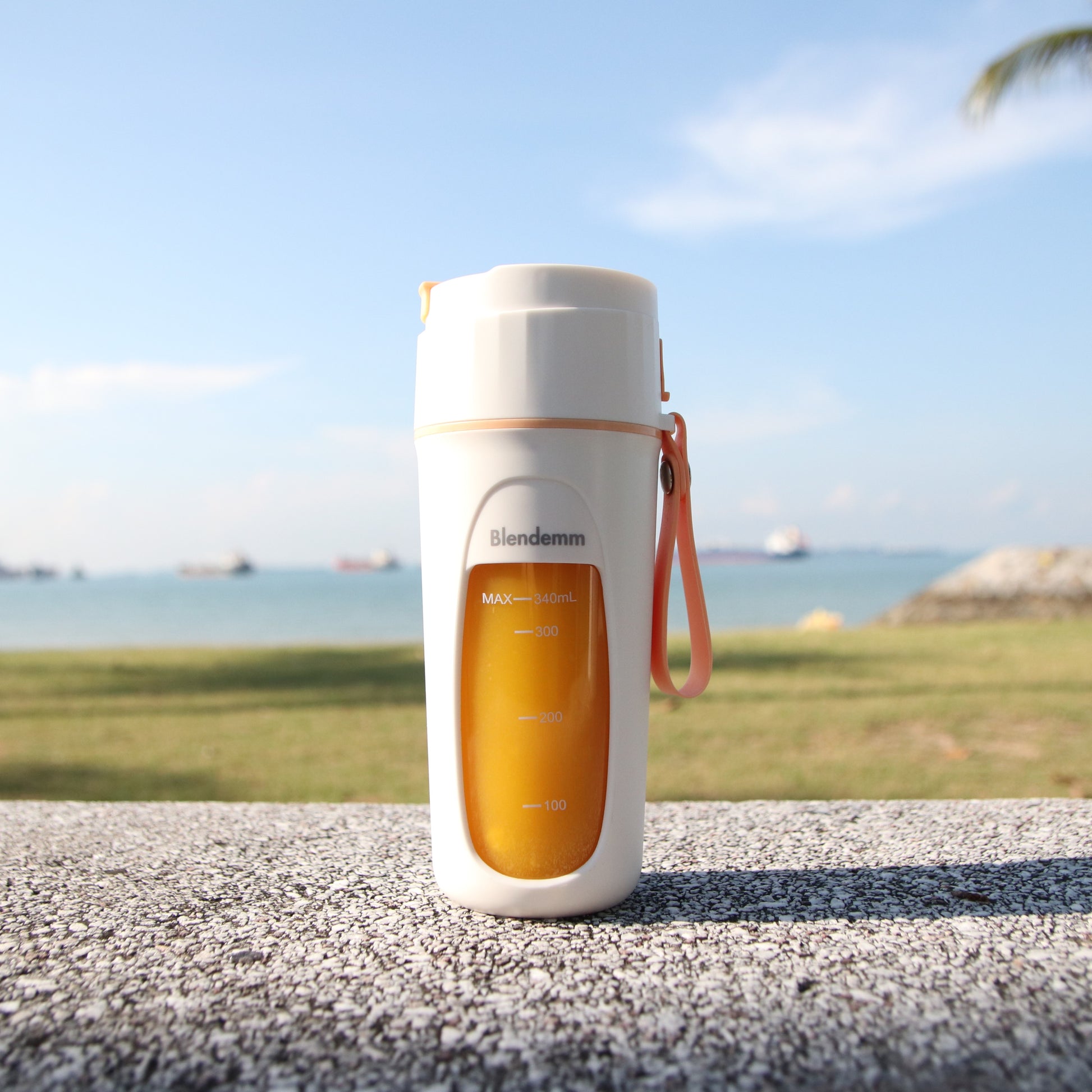 Drink Bottle Blender